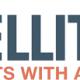 Satellite-2018 превью